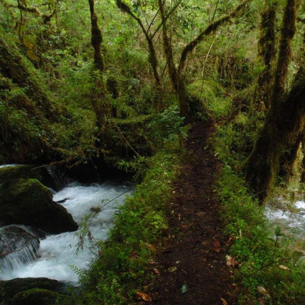 sendero laguna triangulo