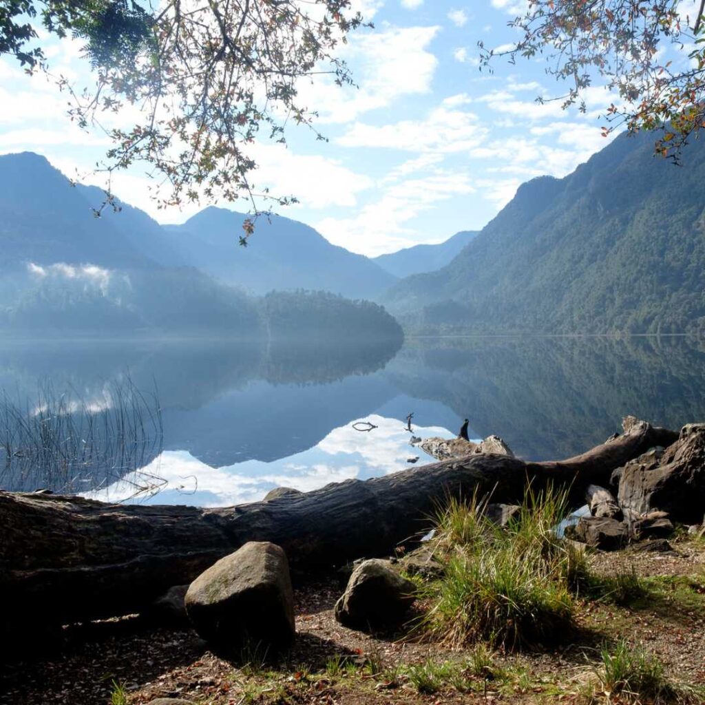 laguna sargazo alerce andino